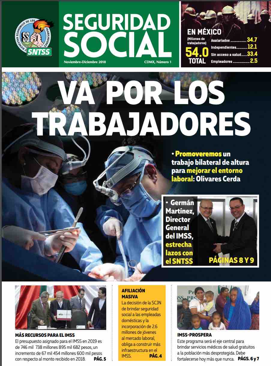 Seguridad Social 15533